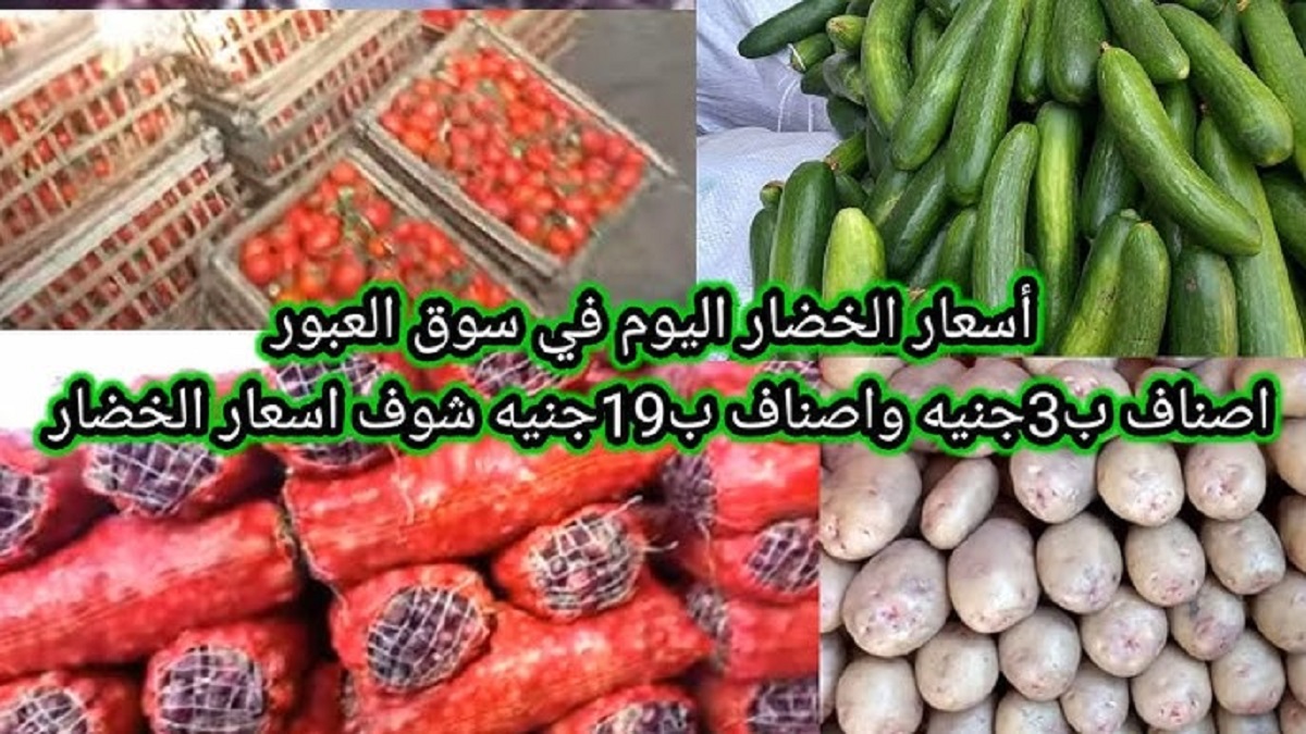 تباين أسعار الخضار في سوق العبور اليوم الخميس 5-12-2024 بالكيلو .. الطماطم ترتفع من جديد