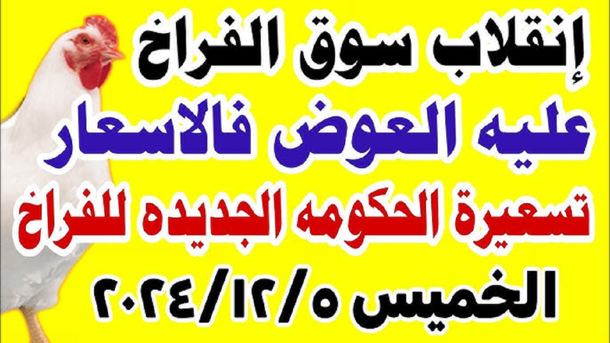 “بأخر تحديث” .. بورصة الدواجن اليوم تُعلن أسعار الفراخ البيضاء بإرتفاع جديد .. الكيلو وصل 71 جنيه