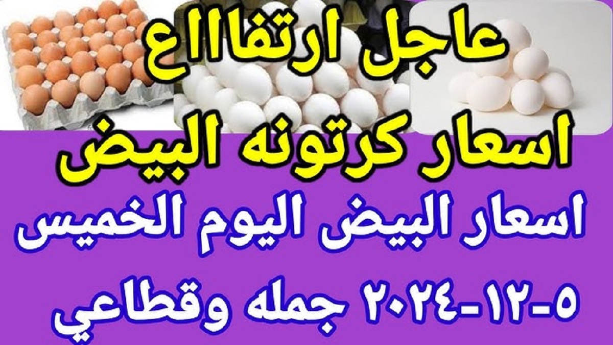 “بكل الأنواع” .. شُعبة الدواجن تُعلن سعر كرتونة البيض اليوم للمستهلك بجميع الأنواع .. يا ترى فيه إرتفاع جديد؟