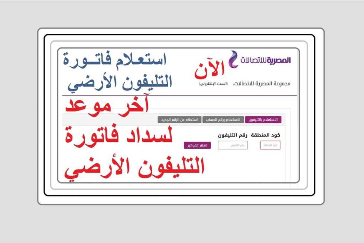 7 خطوات الاستعلام على فاتورة التليفون الأرضي لشهر ديسمبر 2024 عبر billing.te.eg و «إنستا باي»