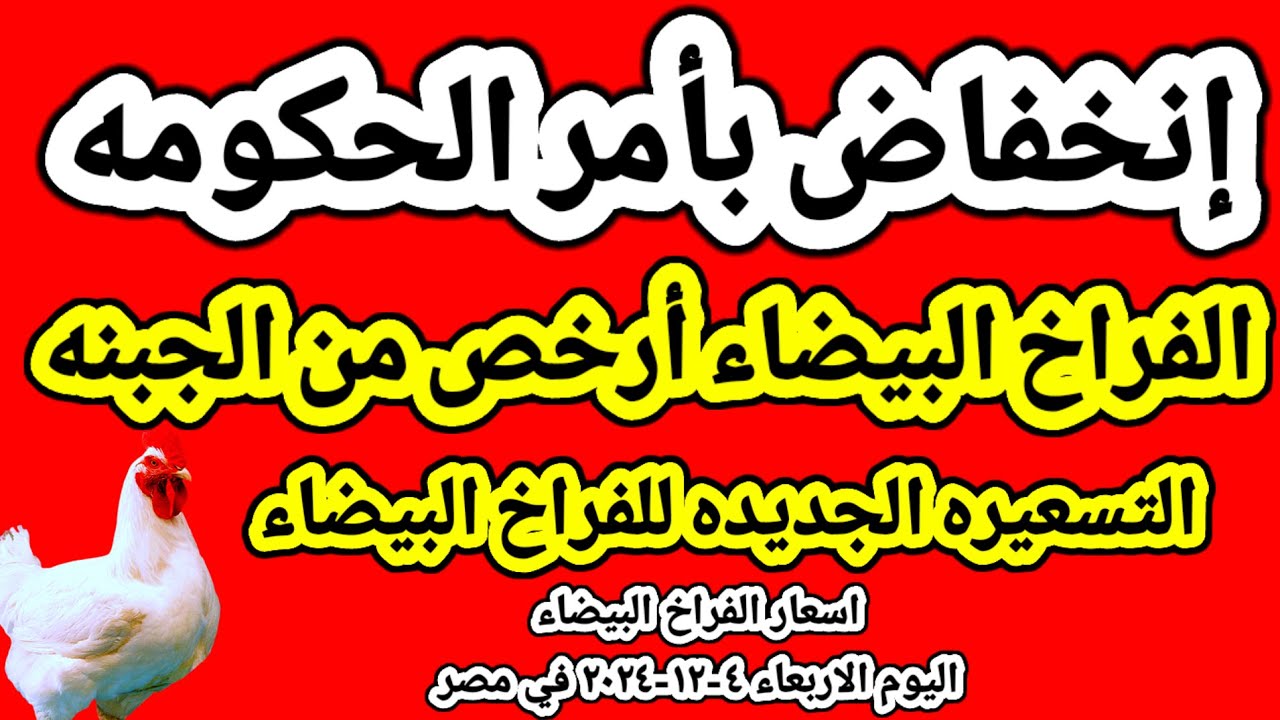 “بالتحديثات الأخيره” .. أسعار الفراخ البيضاء اليوم الأربعاء 4-12-2024 في بورصة الدواجن .. هل شهدت تراجع جديد؟