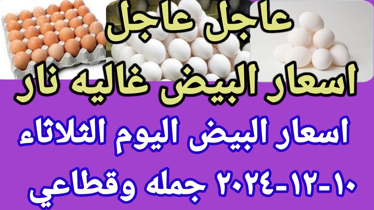 “إستقرار” .. شعبة الدواجن تُعلن عن سعر كرتونة البيض اليوم للمستهلك .. تعرف على اخر التطورات