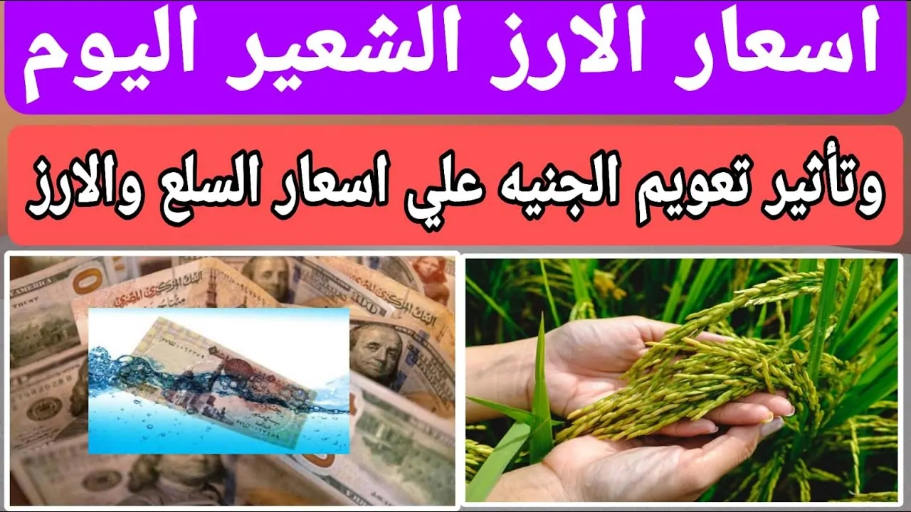 بكم سعر طن الأرز الشعير اليوم الاربعاء 18 ديسمبر 2024 للمستهلك بالاسواق وأسعار السلع الاساسية