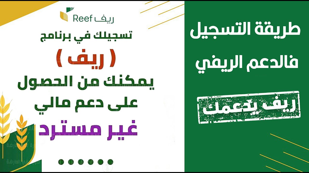 رابط استعلام عن دعم ريف لشهر ديسمبر 2024 reef.gov.sa وشروط الحصول على الدعم