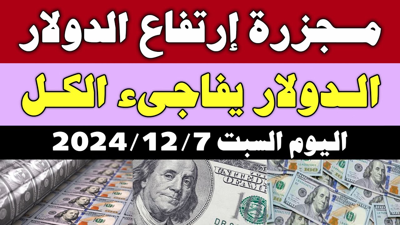 سعر الدولار تحديث يومي في مصر.. استقرار تعاملات البيع والشراء في البنوك المُختلفة