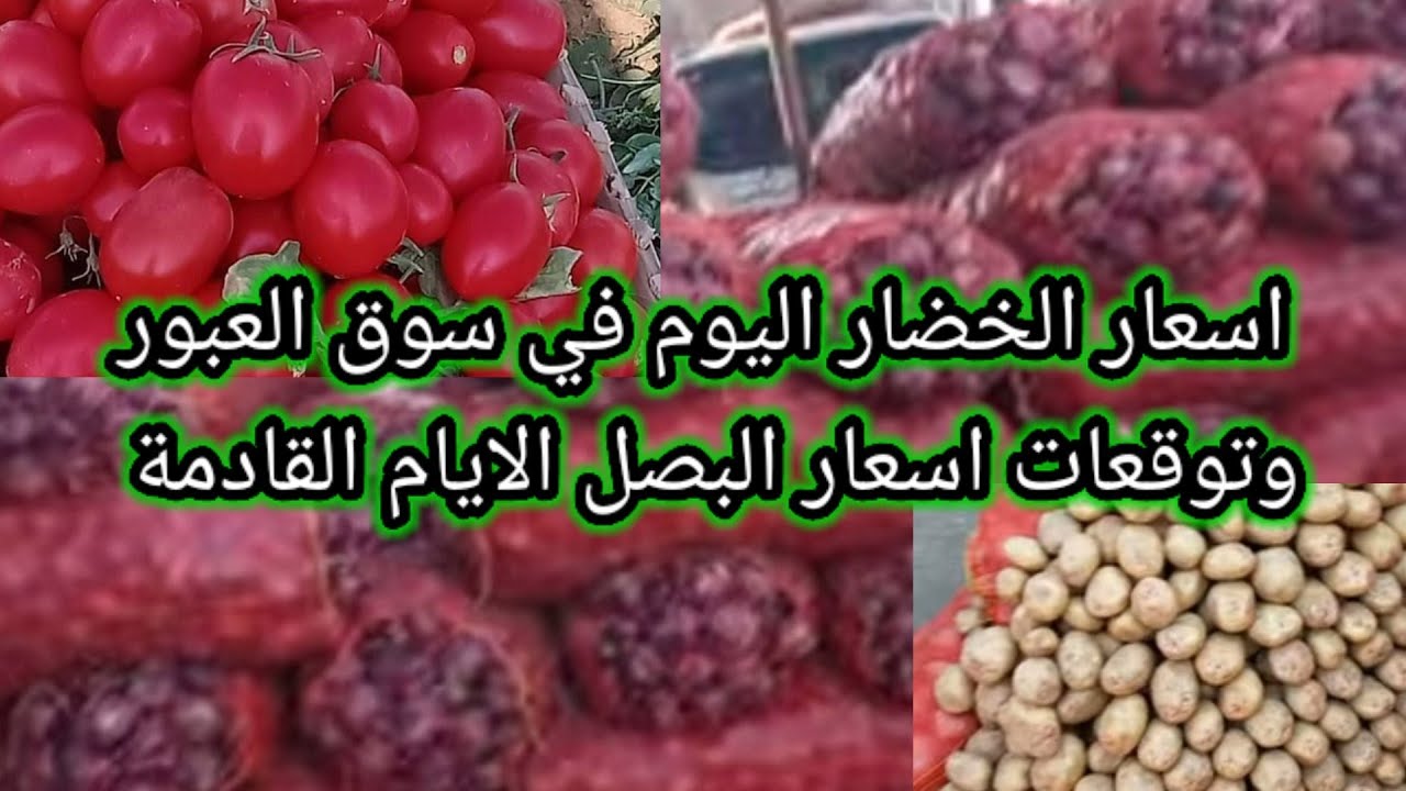 أسعار البصل اليوم في سوق العبور والاسواق المحلية بجميع أنواعه.. الأبيض بـ8 جنيه