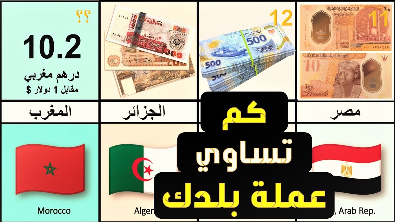 “العربية والأجنبية” أسعار العملات في مصر اليوم الاحد 1-12-2024 (آخر تحديث رسمي)