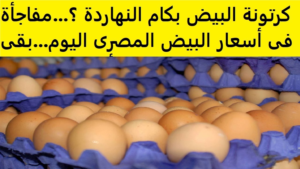 (بلدي واحمر وابيض) سعر كرتونة البيض اليوم الثلاثاء في بورصة الدواجن والأسواق للمستهلكين