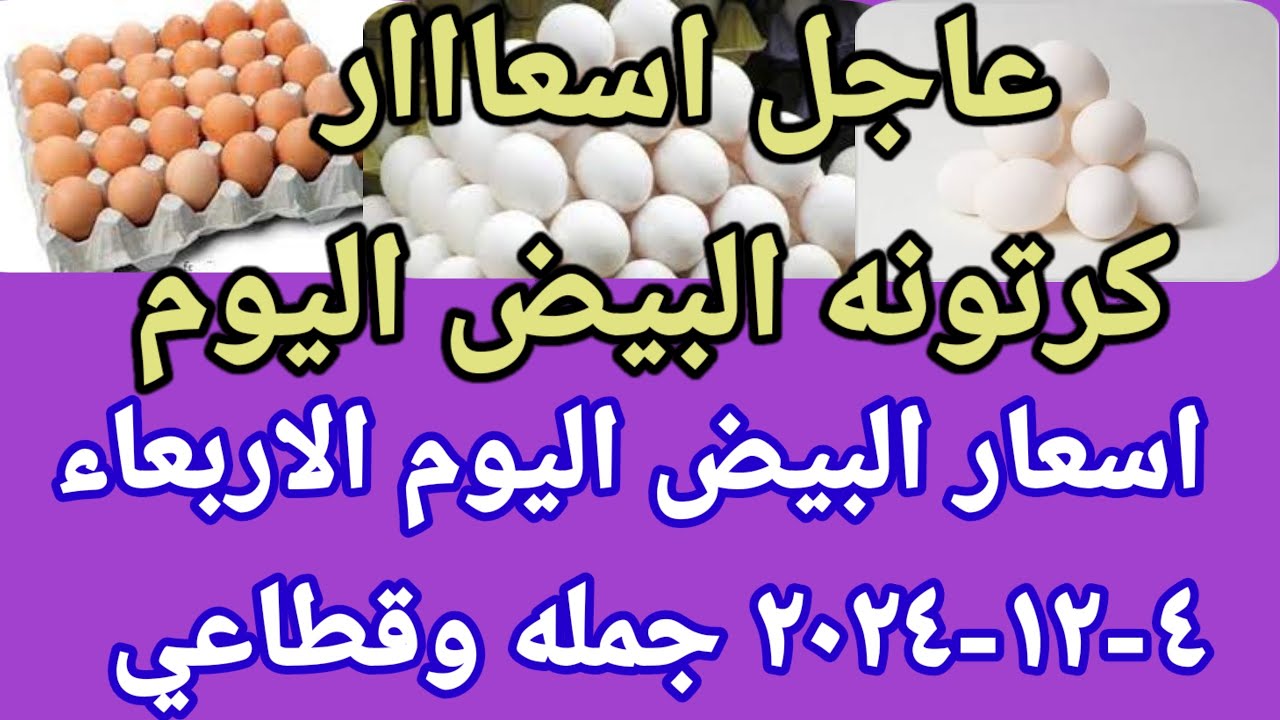 سعر كرتونة البيض اليوم للمستهلك في السوق المصري.. الأحمر بـ156 جنيهًا