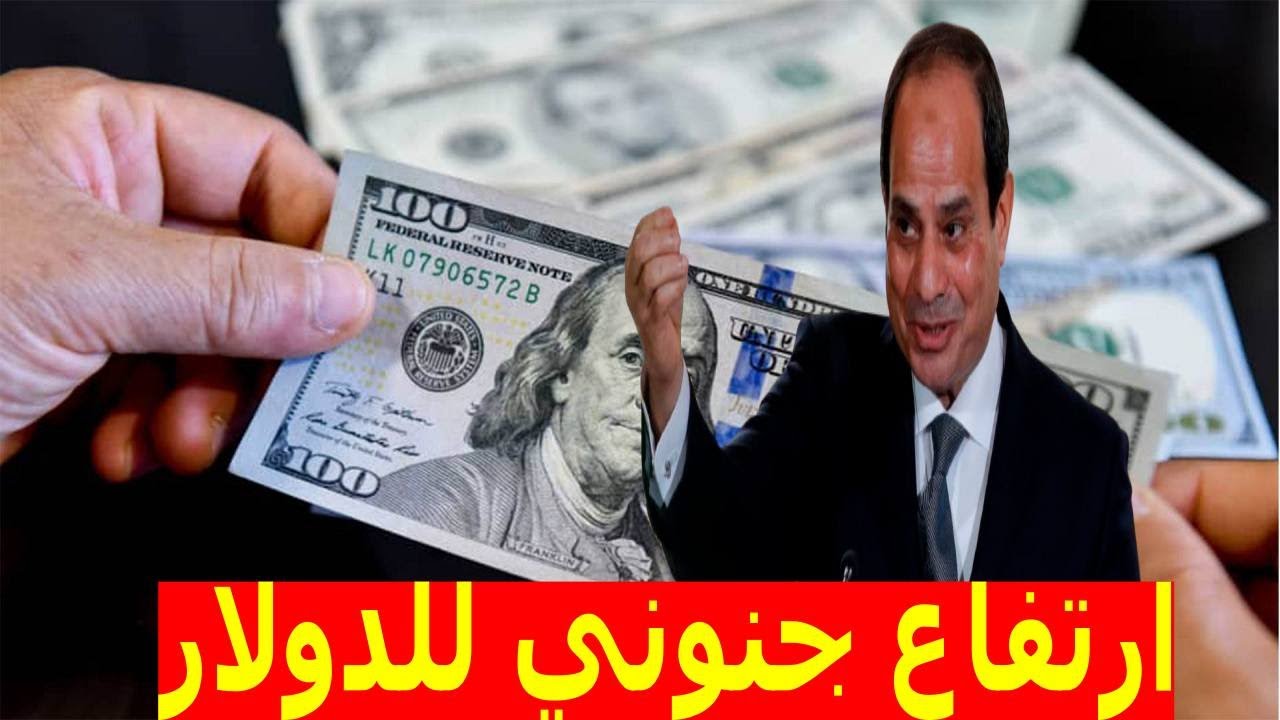 “اخر التحديثات”.. ارتفاع سعر الدولار اليوم في مصر لـ50 جنيه الخميس 5-12-2024 في البنوك المُختلفة