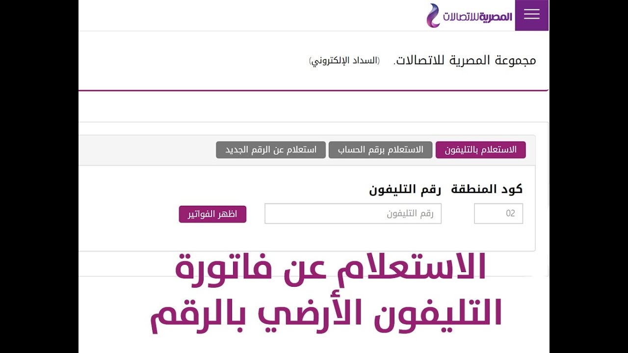 «أون لاين» .. المصرية للاتصالات فاتورة التليفون الارضي لشهر ديسمبر 2024 عبر te.eg