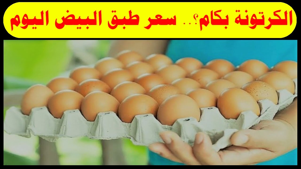 سعر كرتونة البيض اليوم الأربعاء 11 ديسمبر بالمزارع والأسواق المحلية