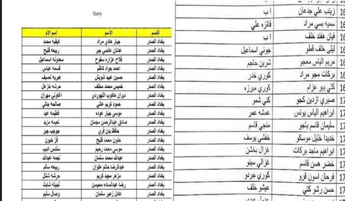 أسماء المشمولين بالرعاية الاجتماعية الوجبة الأخيرة وأهم  الشروط للاستفادة من الدعم