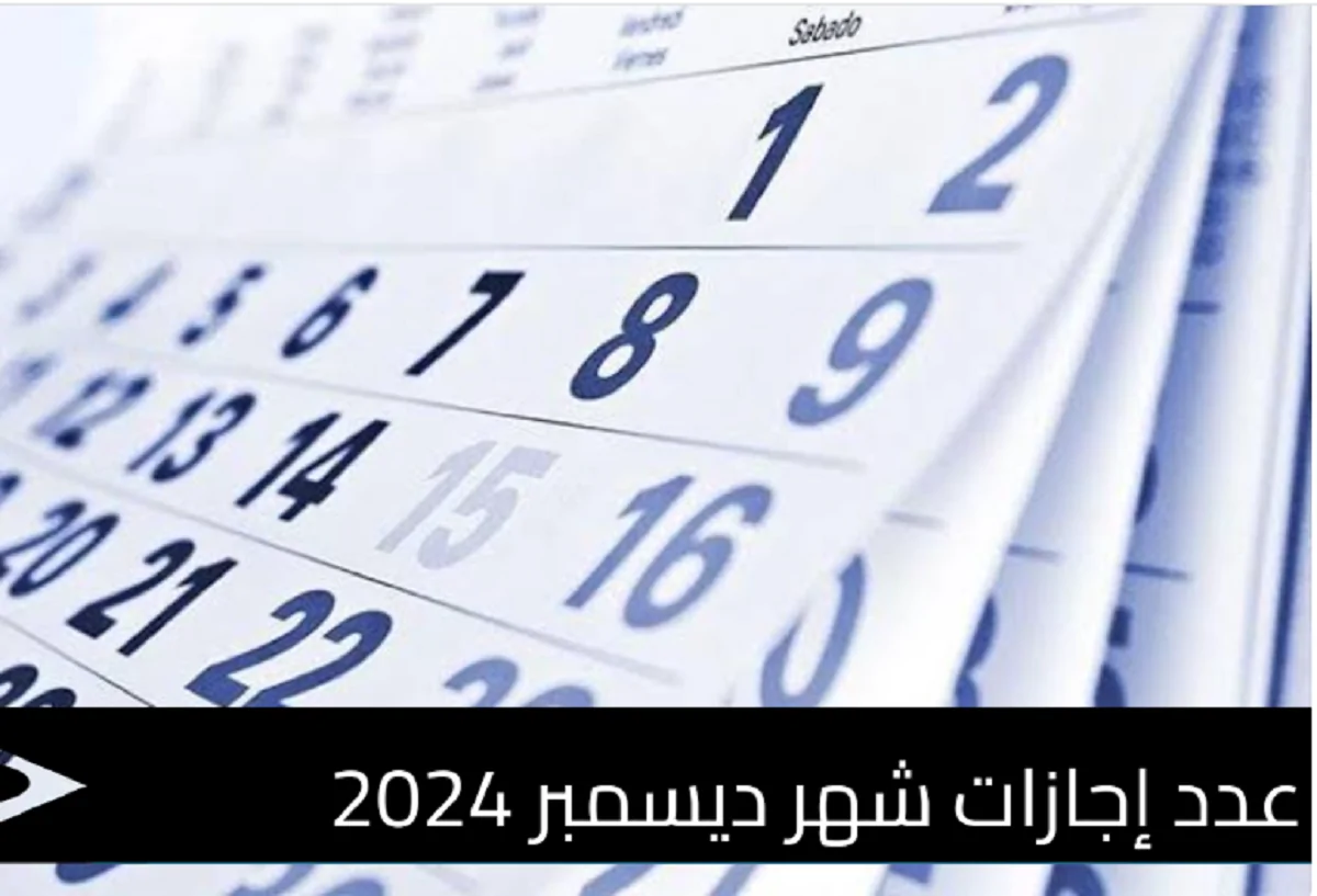 6 ايام ” إجازات شهر ديسمبر 2024.. للعاملين في القطاع العام والخاص وفقا لقرار مجلس الوزراء