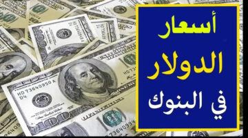 ارتفاع سعر الدولار اليوم مقابل الجنيه المصري 1 1