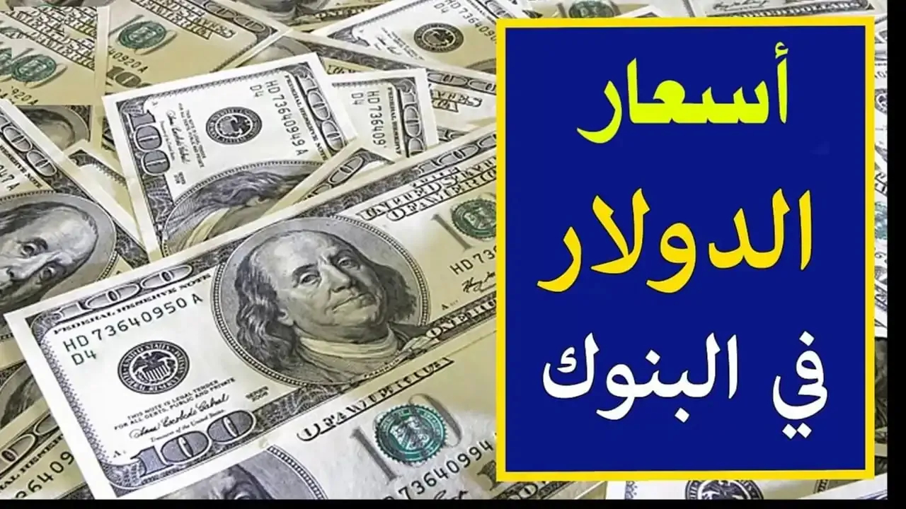 سعر الدولار اليوم في البنوك الثلاثاء 10-12-2024 مقابل الجنية المصري في البنوك المُختلفة