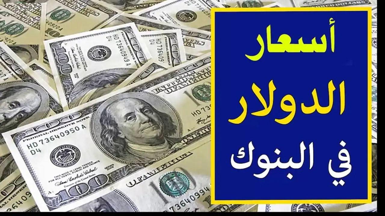 جنون في سعر الدولار اليوم مقابل الجنيه المصري بعد كسره حاجز الـ 50.. إلى أين تؤول الأمور؟