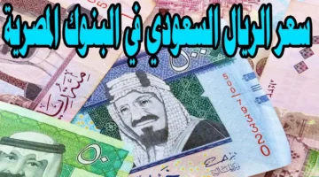 ارتفاع سعر الريال السعودى مقابل الجنيه المصري