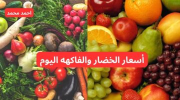 اسعار الخضار اليوم 1