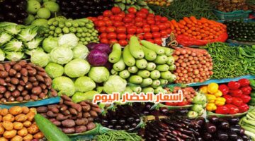 اسعار الخضار اليوم