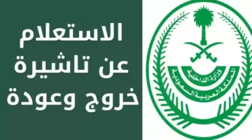 الاستعلام عن تأشيرة الخروج والعودة 1446