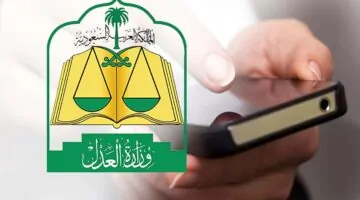 الاستعلام عن صرف المستحقات التأمينية بعد الاستقالة 1446