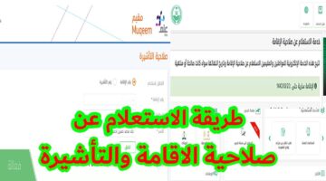 الاستعلام عن صلاحية الإقامة في السعودية