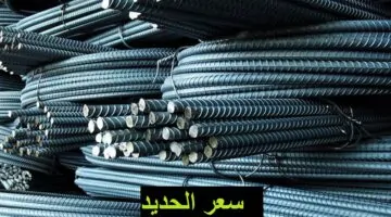 الحديد رخص. أسعار الحديد اليوم الاحد 26 11 2023 بالأسواق المصرية بعد قانون تصالح البناء الجديد 1