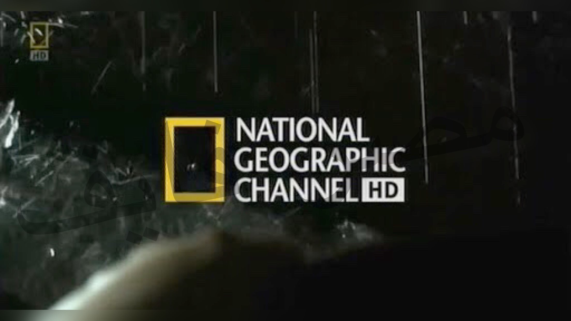 National Geographic تردد قناة ناشيونال جيوغرافيك أبو ظبي على العرب سات والنايل سات