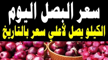 سعر البصل اليوم الجديد 1