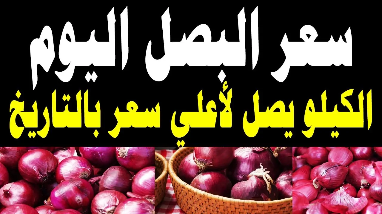 “جديد و قديم” سعر البصل اليوم الجديد الأربعاء 11 – 12 – 2024  للمستهلك في سوق العبور للجملة