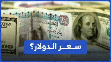 سعر الدولار اليوم