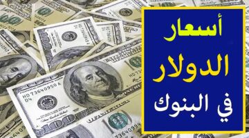 سعر الدولار اليوم مقابل الجنيه المصري 5