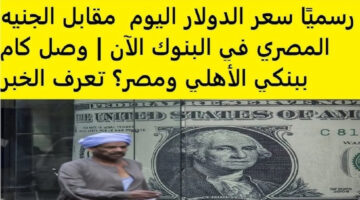 سعر الدولار فى البنوك اليوم