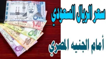 سعر الريال السعودى مقابل الجنيه المصري