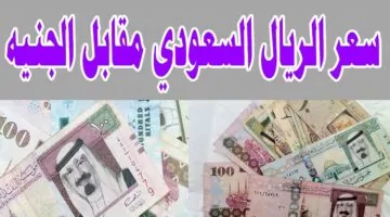 سعر الريال السعودي مقابل الجنيه المصري