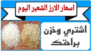 سعر طن الأرز الشعير اليوم الثلاثاء 15 أكتوبر 2024 في مصر