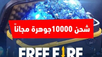 طريقة شحن جواهر فري فاير مجانا 2024 مضمونة 100 بدون حظر الحساب عبر الموقع الرسمي 800x600 1